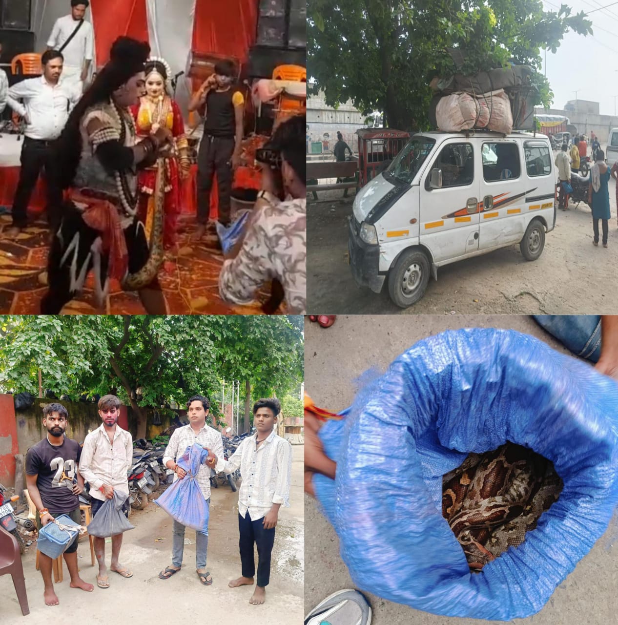 गुजैनी पुलिस और वन विभाग की टीम ने बड़ी कार्रवाई की